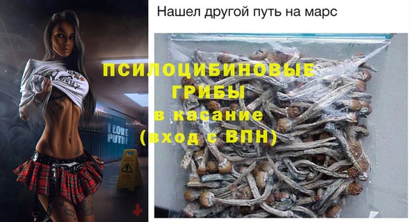 дживик Алзамай