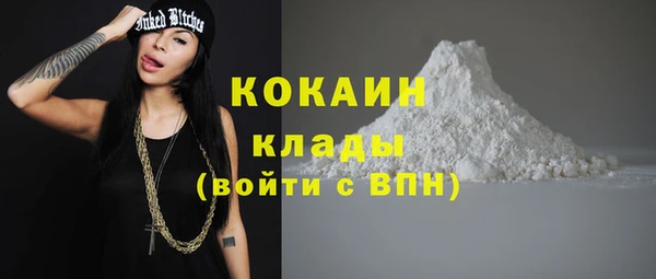 дживик Алзамай