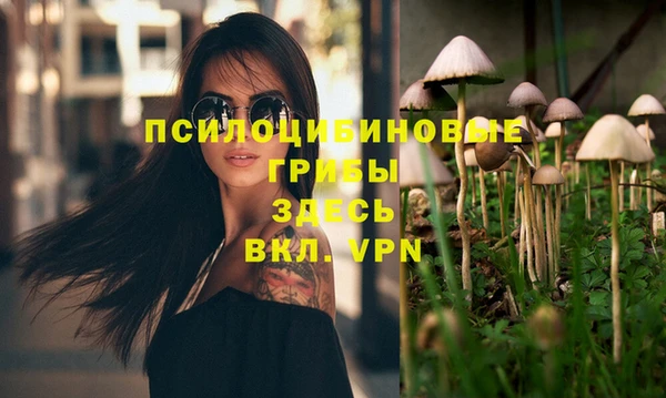 прущий лед Алексин