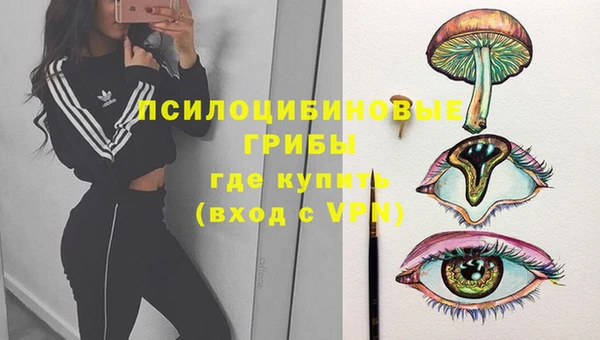 дживик Алзамай
