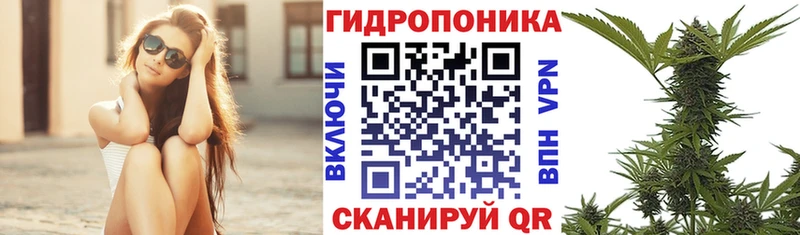 Бошки Шишки OG Kush  как найти закладки  Пласт 